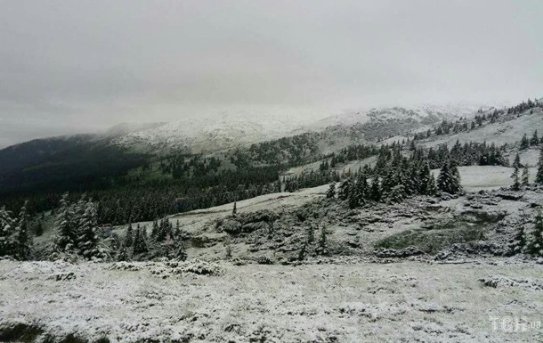 Карпати засипало снігом. ФОТО