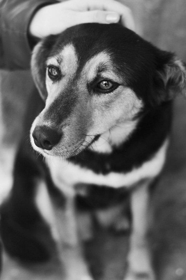 Фотовиставка Ані Мурзіної