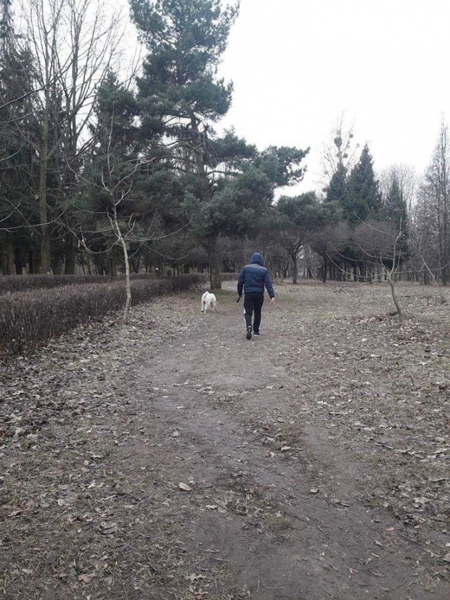 У Луцьку покарали недобросовісних собачників