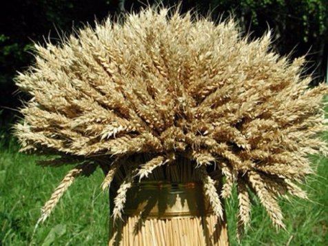 Найдавніші магічні свята серпня. ФОТО 