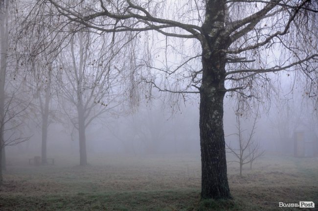 Паморозь і густий туман: чарівний ранок у Луцьку. ФОТО