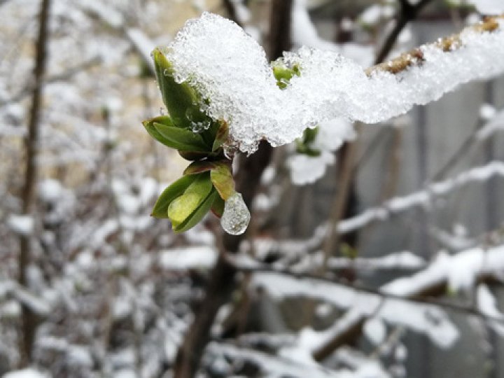 Мокрий сніг та дощ: в Україну йде похолодання