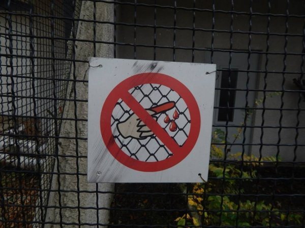 Зоопарк в Замості: погляд з Луцька. ФОТО