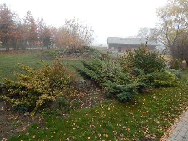 Зоопарк в Замості: погляд з Луцька. ФОТО