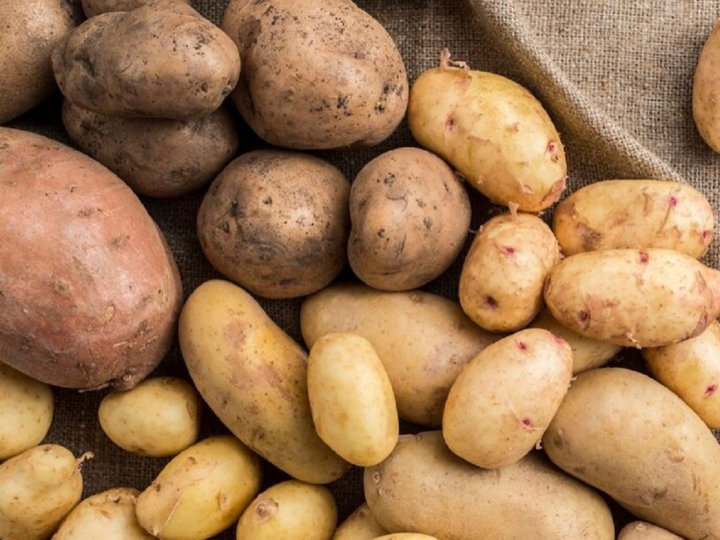 Найкращі сорти ультраранньої картоплі, які не бояться посухи