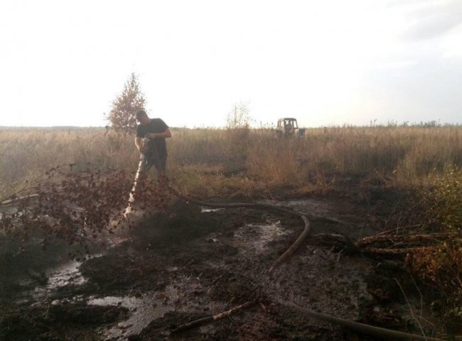 На Волині горіли чагарники та торфополя. ФОТО
