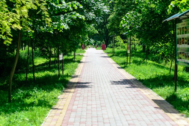 Літній день у центральному парку Луцька. ФОТОРЕПОРТАЖ