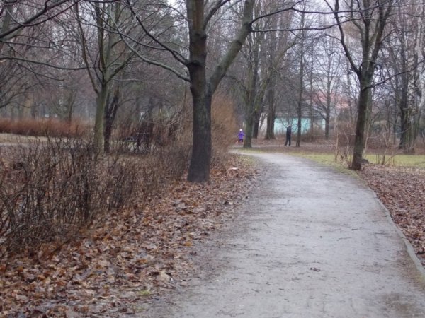 Гектар луцького парку хочуть повернути громаді через слухання