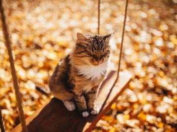 Вихідні у вересні: скільки відпочиватимуть українці