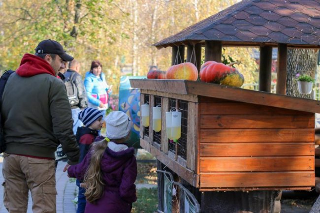 У Луцькому зоопарку відгуляли свято гарбуза: як це було. ФОТО