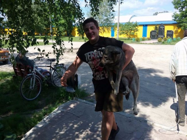 «Ласка» привезла у Луцьк 10 собак із Каменя-Каширського