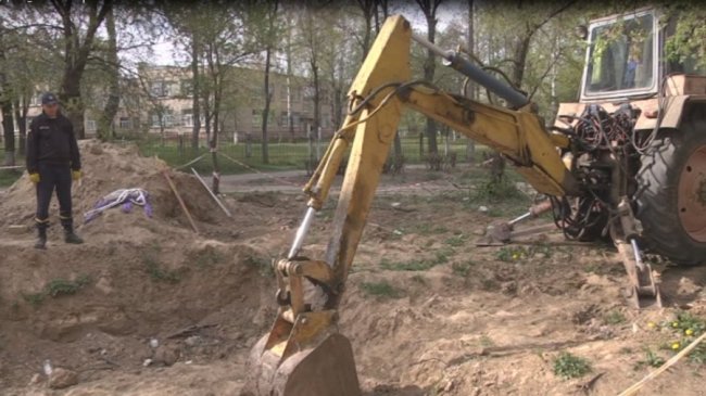 Як почуваються цуценята, яких врятували з-під землі у Луцьку