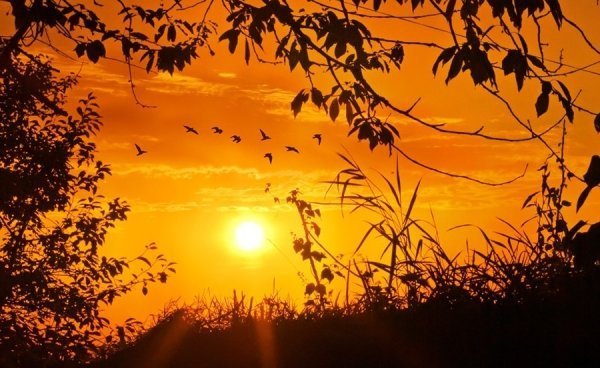 Захід сонця. Село Новий Двір. Турійський р-н. Волинська обл. 25 липня 2012 р. Автор Костянтин Семицький