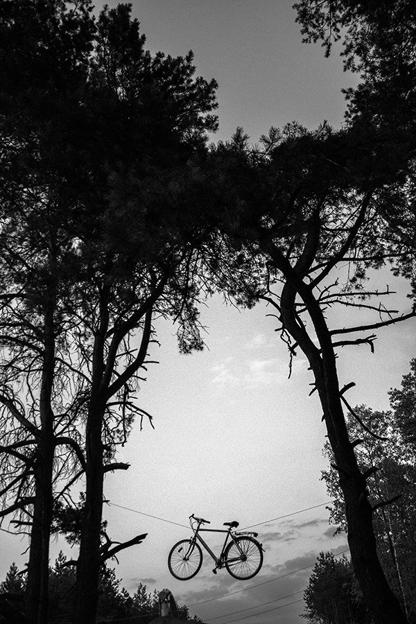 Особливості української парковки. Чого велосипед висить на канаті, поміж високих сосен, як шишка? Щоб не поцупили?... 30 червня 2013 р. Гряда, озеро Світязь. Автор Костянтин Семицький 