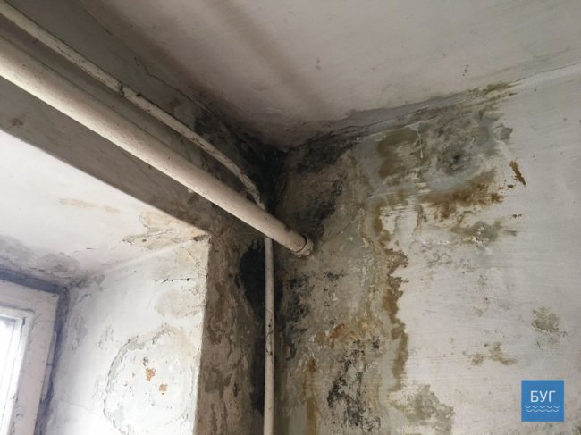 Жахливий сморід і відра з фекаліями: у гуртожитку на Волині страждають від сусіда-п'яниці. ФОТО