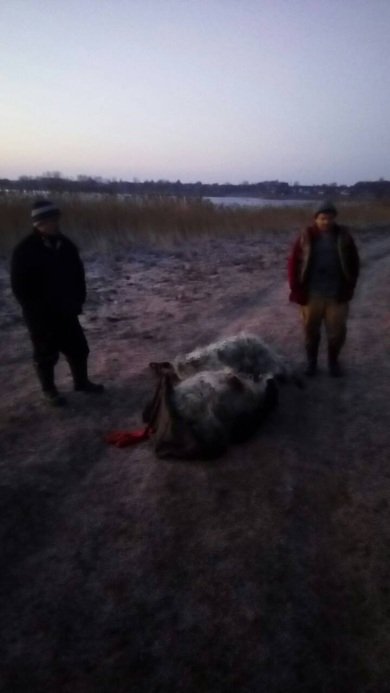 У 2019 році рибні браконьєри на Волині завдали шкоди на 70 тисяч гривень