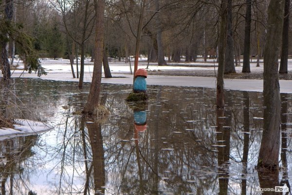 Весна у Луцьку. ФОТО