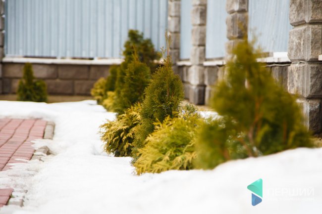 Як живеться у «Струмочку»: хто хазяйнує та як стежить за порядком у котеджному містечку*