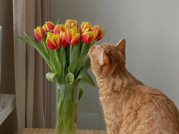 Добрі новини від ВолиньPost за 23 березня 