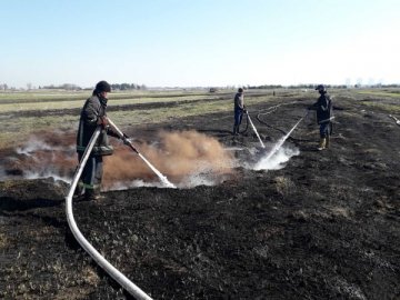 За добу на Волині гасили 10 пожеж