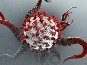 В Україні зафіксували перший випадок зараження новим штамом коронавірусу «Кракен»