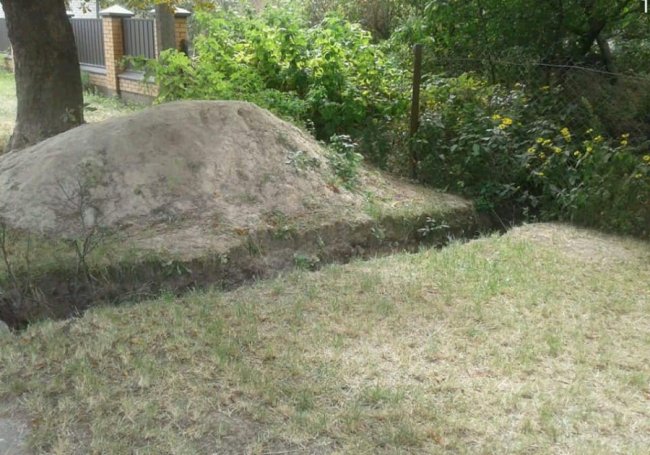 Лучанку покарали за несанкціоновані «розкопки». ФОТО