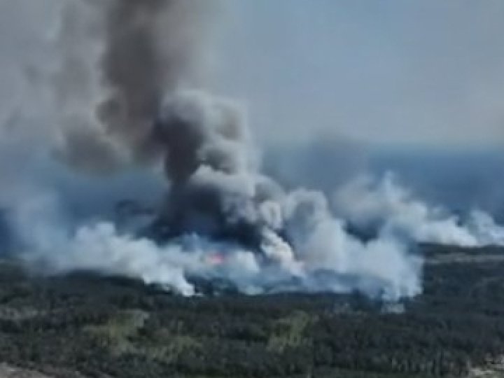 На Чернігівщині на кордоні з росією через обстріли палають 2400 га лісу