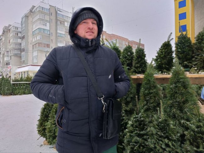 У Луцьку стартував продаж різдвяних ялинок: ціни