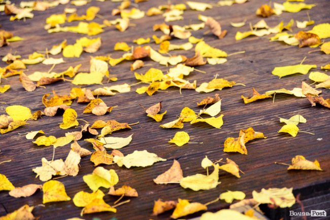 Місто, оповите легким серпанком туману: осінній Луцьк у фото 