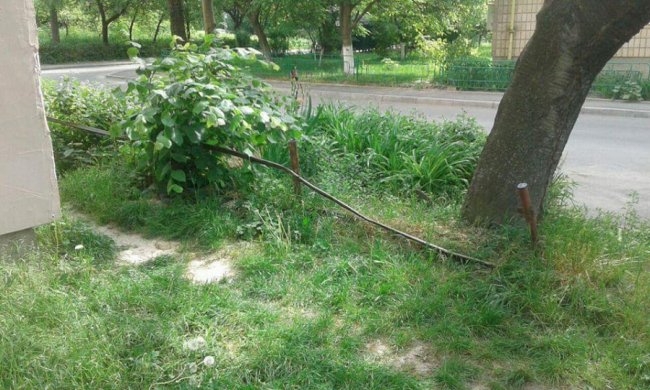 Муніципали втішені, що люди не заважають їм нищити паркани