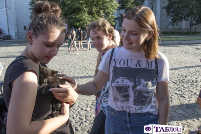 Вусаті та пухнасті: у Луцьку перше влаштували парад чорних котів. ФОТО