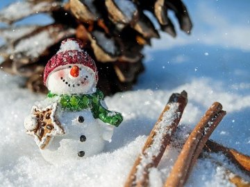 Коли волинські школярі підуть на зимові канікули