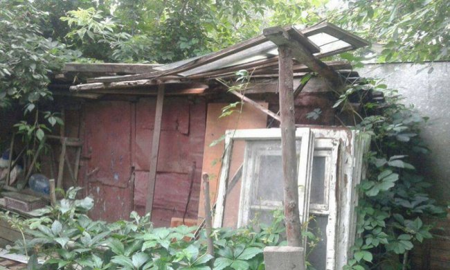 З луцького двору муніципали вивезли цілу вантажівку сміття. ФОТО