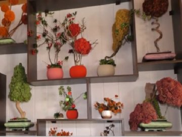 На Волині школярі виготовляють неймовірні скульптури з моху. ВІДЕО