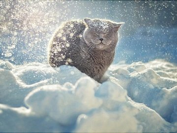 Куди піти у вихідні: 20-22 січня