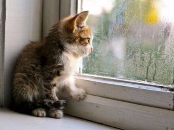 Зима близько: синоптик озвучила прогноз на найближчі дні