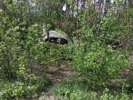 Під Луцьком автівка зробила «сальто» і злетіла в кущі. ФОТО