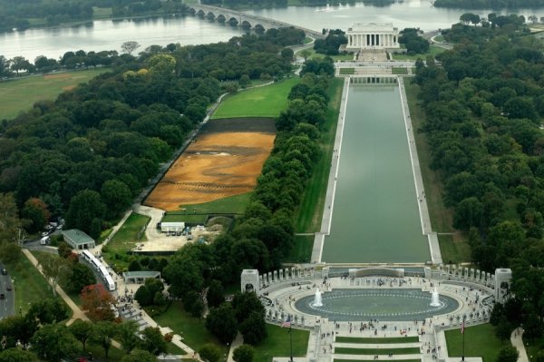 Гігантський портрет під назвою «Один з багатьох», який намалював американський художник кубинського походження Хорхе Родрігес-Гєрада на Національному моллі в історичному центрі Вашингтона (© Chip Somodevilla / Getty Images)