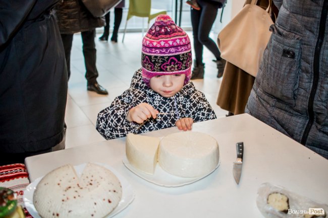 Волинські та рівненські виробники частували лучан сиром. ФОТО