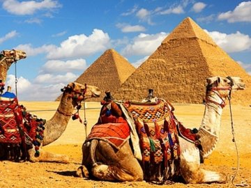 Подорожі до Єгипту: які діятимуть вимоги до тесту на коронавірус для туристів