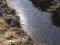 У волинську річку потрапили трансформаторні мастила: чи критичне забруднення