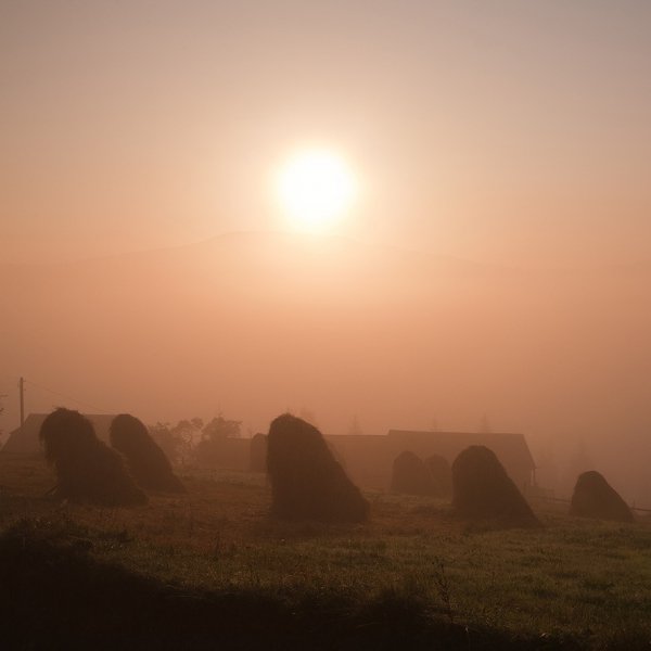 Фотовиставка Юрія Наумовича