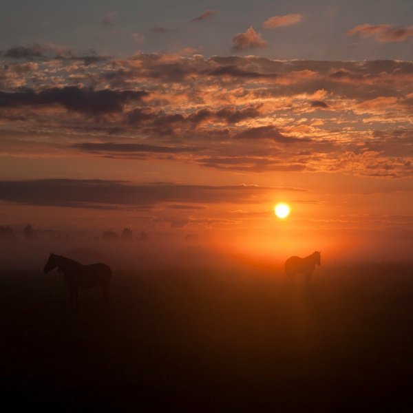 Фотовиставка Юрія Наумовича