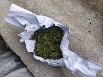 У волинян вилучили наркотики та пістолет. ФОТО