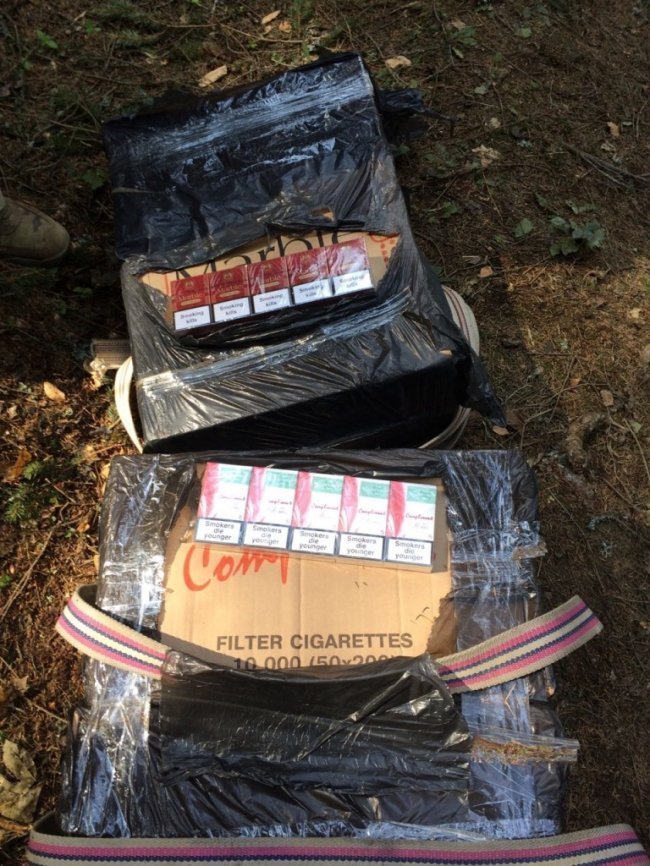 Волинські прикордонники стріляли, аби затримати контрабандиста