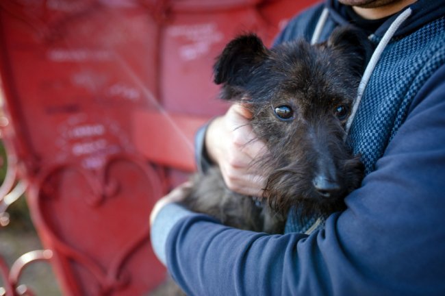 Дмитро Мельничук - актор Драмтеатру з собачкою Жустін
