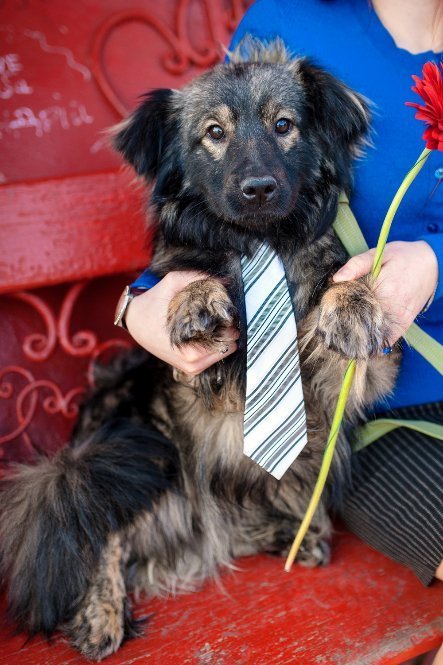 Дмитро Мельничук - актор Драмтеатру з собачкою Жустін