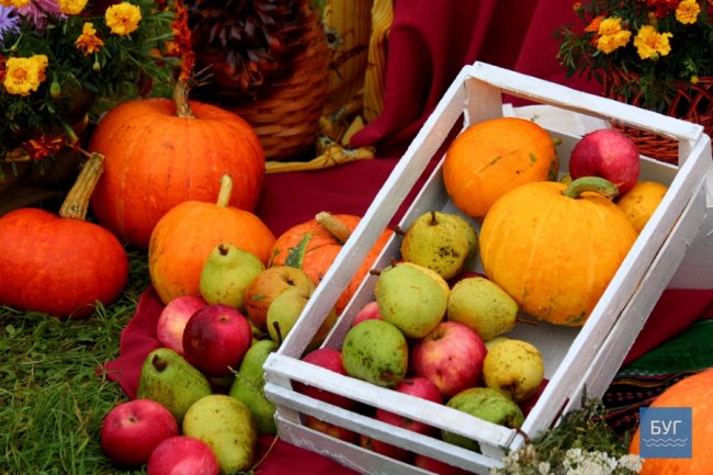 У Володимирі – «смачний» фестиваль. ФОТО