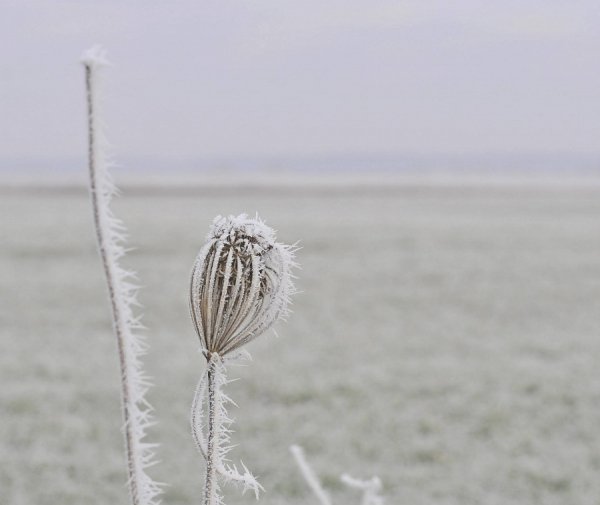 Волинь в льодяному тумані. ФОТО