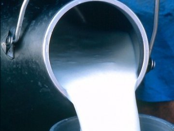 У Луцьку працює 11 пунктів продажу молока від виробників. ВІДЕО